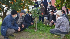Büyükşehir Belediyesinden Alanyalı çiftçilere uygulamalı eğitim
