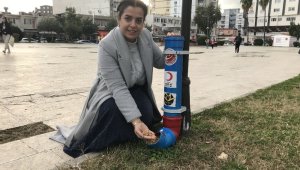 Ceyhan'da sokak hayvanlarına 500 kilo mama