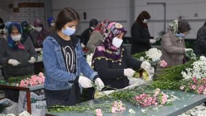 Dünyadaki aşıkları mutlu ediyorlar ama onların yüzünü güldüren yok