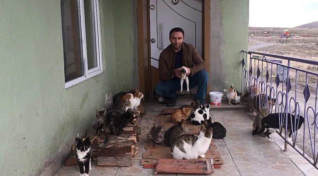 Konya'da yaklaşık 30 kedi besleyen imam: