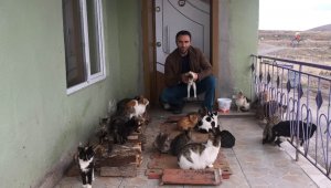 Konya'da yaklaşık 30 kedi besleyen imam: 