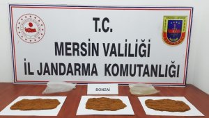 Mersin'de uyuşturucu operasyonu