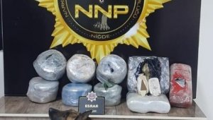 Muz kolileri içerisindeki 51 kilo esrarı Narkotik köpeği Cessi yakaladı