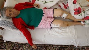 Sokak köpeklerinin saldırısına uğrayan yaşlı kadın ölümden döndü