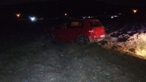 Tarlaya uçan otomobilde 2 kişi yaralandı