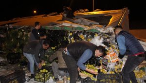 Tır devrildi meyveler saçıldı, yardıma hamallar koştu