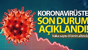 Türkiye’de son 24 saatte 7.901 koronavirüs vakası tespit edildi
