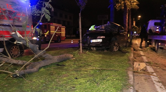 Adana'da otomobil refüjdeki ağaçlara çarptı: 3 yaralı