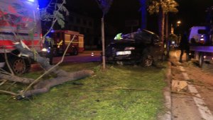 Adana'da otomobil refüjdeki ağaçlara çarptı: 3 yaralı