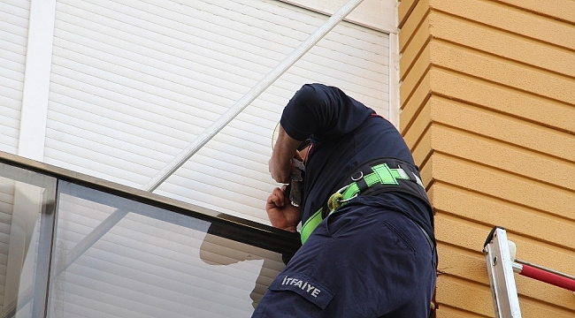 Antalya'da kumru kurtarma operasyonu