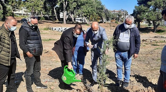 Gazeteciler 250 adet fidanı toprakla buluşturdu
