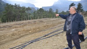 Herkes köyden kente giderken o Almanya'dan köyüne döndü