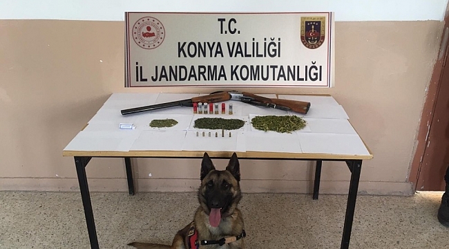 Jandarma'dan uyuşturucu operasyonu