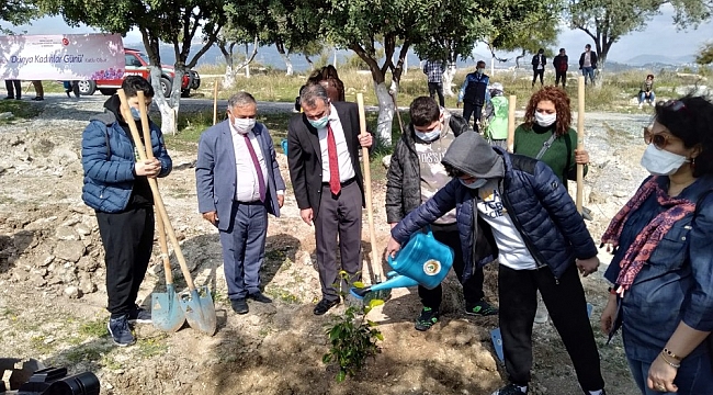 Kadınlar 'Çocuk Hatıra Ormanı'na fidan dikti
