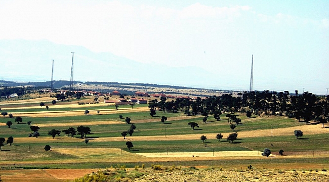 Lale Köyü Karantinaya Alındı