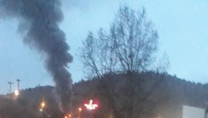 Nallıhan'da ahşap ev alevlere teslim oldu