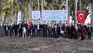 Yaşlılar Haftası'nda Tarsus'ta ağaç dikildi