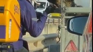 Antalya'da trafikte kurye ile köpek arasında yürek ısıtan görüntü