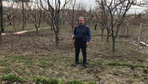 BBP Genel Başkanı Destici ağaç budadı