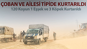 Kar Fırtınasına Yakalan Çoban ve Koyunlar Kurtarıldı