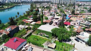'Yeşil Cami' bu sene de sarmaşığına kavuştu