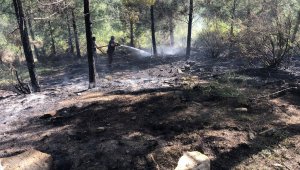 Adana OBM yangınlara karşı hazırlıklarını tamamladı
