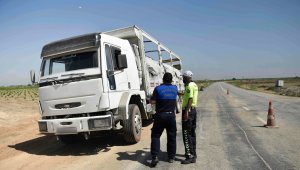 Adana'da kelek karpuz denetimi