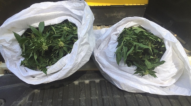 Alanya'da 20 kilogram esrar ele geçirildi