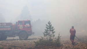 Alanya'da orman yangını kontrol altına alındı