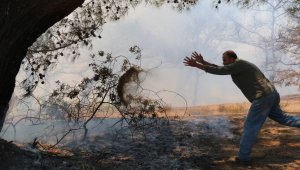 Antalya'da orman yangını