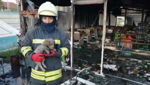 Ereğli'de büfe yandı, kediler ve köpek kurtarıldı
