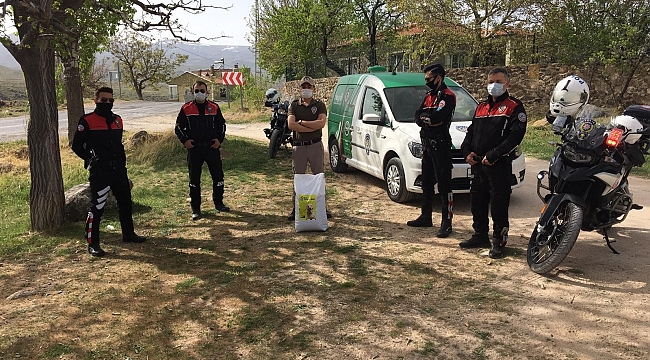 Polisler sokak kısıtlamasında hayvanları besledi
