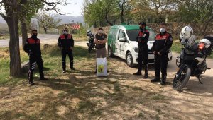 Polisler sokak kısıtlamasında hayvanları besledi