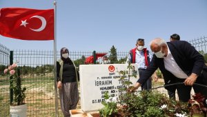 Şehit mezarları güllerle donatıldı