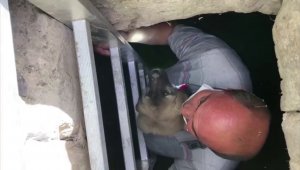 Yavru köpek, kendisini kurtaran itfaiye erini duygulandırdı