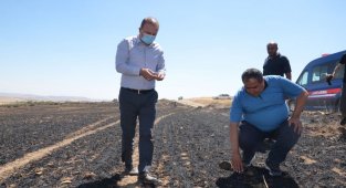 Aksaray'da 100 dekarlık tarladaki arpa ve buğday yanarak kül oldu