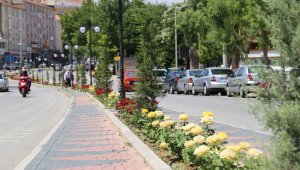 Karaman'da kavşak ve refüjler gül ve çiçeklerle donattı