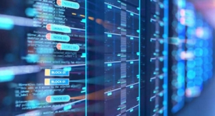 Kivi Host profesyonel bir kadro ile çalışır