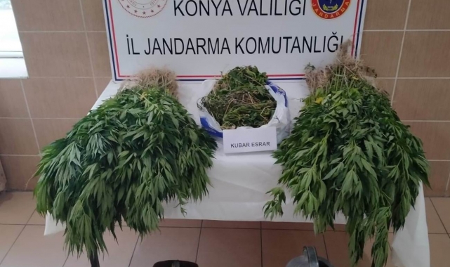 Konya'da jandarmadan uyuşturucu operasyonu