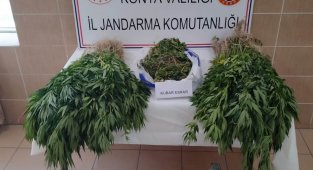 Konya'da jandarmadan uyuşturucu operasyonu