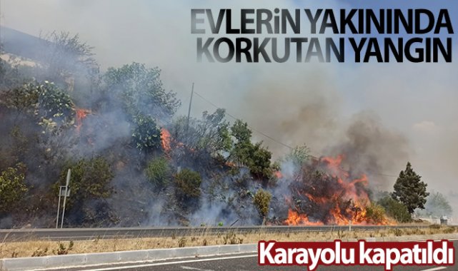 Muğla’da ormana sıçrayan yangın söndürüldü