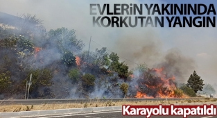 Muğla’da ormana sıçrayan yangın söndürüldü