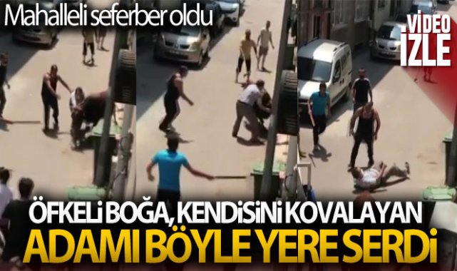 Bursa kaçan boğa, kendisini kovalayan adamı böyle yere serdi
