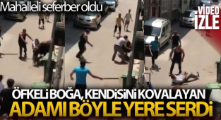 Bursa kaçan boğa, kendisini kovalayan adamı böyle yere serdi