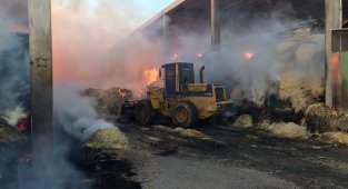 Vali Işık yangın çıkan çiftlikte incelemelerde bulundu
