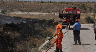 Atış poligonunda çıkan yangında kaplumbağayı yanmaktan polisler kurtardı