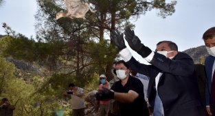 Karaman'da 840 sülün doğaya bırakıldı