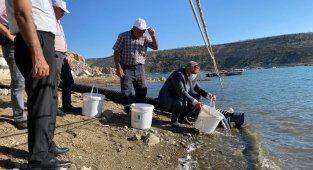 Karaman'da Fisandun göletine 250 bin yavru sazan bırakıldı
