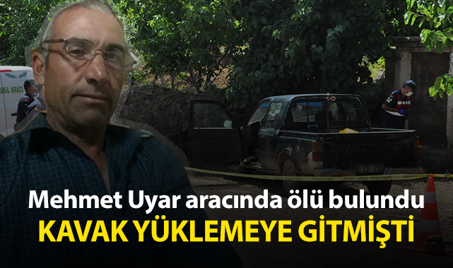Kavak kesmeye giden Mehmet Uyar aracında ölü olarak bulundu