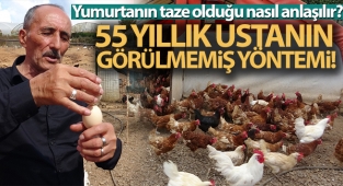 Yumurtanın tazeliğini saptamak için 55 yıllık ustadan görülmemiş ‘dönme’ yöntemi
